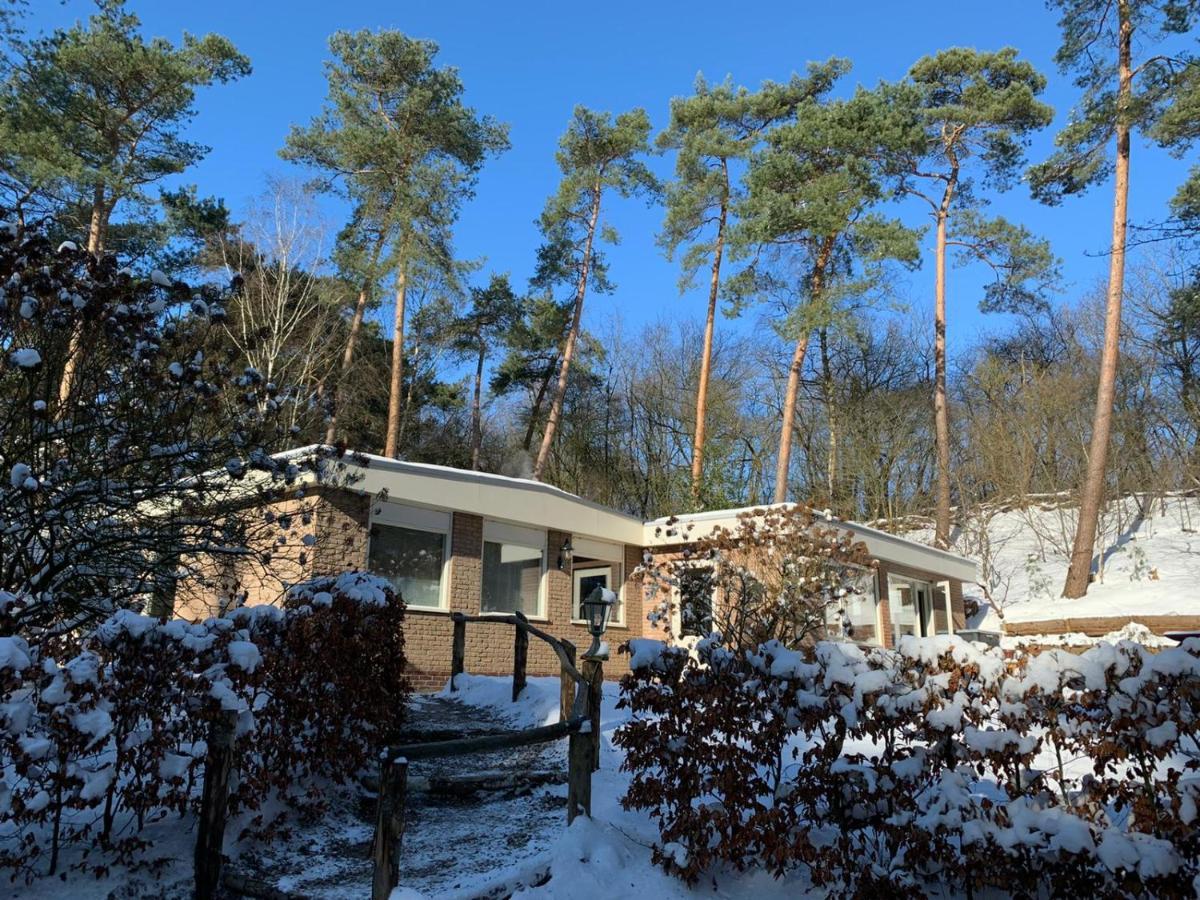 Het Fazantenbosje Villa Dalfsen Exterior foto