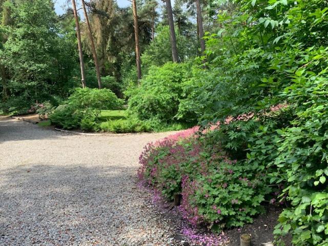 Het Fazantenbosje Villa Dalfsen Exterior foto